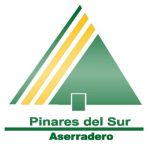 Dipisur